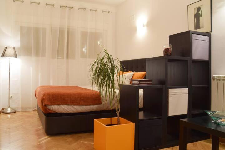 Estudio Acogedor Y Luminoso Apartment Madrid Bagian luar foto